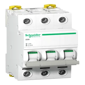 Schneider Electric A9S65392 выключатель нагрузки iSW Acti 9, 3 полюса, 125 А (ШНАЙДЕР) Schneider Electric A9S65392 выключатель нагрузки iSW Acti 9, 3 полюса, 125 А (ШНАЙДЕР)