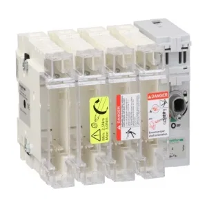 Schneider Electric GS2J4 — рубильник с предохранителем TeSys GS, 4 полюса, 100 А, 22x58 (ШНАЙДЕР) Schneider Electric GS2J4 — рубильник с предохранителем TeSys GS, 4 полюса, 100 А, 22x58 (ШНАЙДЕР)
