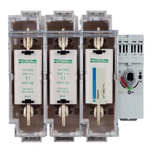 Schneider Electric TeSys GS GS2N3 - рубильник с предохранителем 250 А, 3P, размер 1 (ШНАЙДЕР) Schneider Electric TeSys GS GS2N3 - рубильник с предохранителем 250 А, 3P, размер 1 (ШНАЙДЕР)
