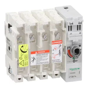 Schneider Electric GS2NB4, рубильник с предохранителем TeSys GS 250 А 4P B1 B2 B3 (ШНАЙДЕР) Schneider Electric GS2NB4, рубильник с предохранителем TeSys GS 250 А 4P B1 B2 B3 (ШНАЙДЕР)