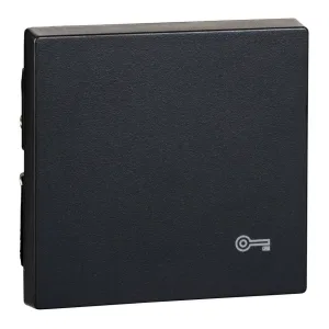 Клавиша Schneider Electric MERTEN SYSTEM M, антрацит (ШНАЙДЕР) Клавиша Schneider Electric MERTEN SYSTEM M, антрацит (ШНАЙДЕР)