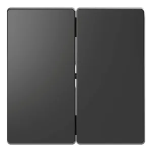 Schneider Electric Merten D-Life MTN3400-6034 - клавиша двойная, антрацит (ШНАЙДЕР) Schneider Electric Merten D-Life MTN3400-6034 - клавиша двойная, антрацит (ШНАЙДЕР)