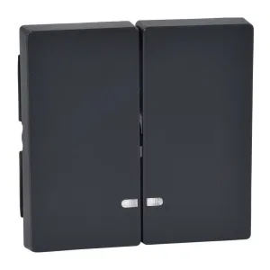 Schneider Electric MTN3420-0414 - двойная клавиша с линзами, антрацит (ШНАЙДЕР) Schneider Electric MTN3420-0414 - двойная клавиша с линзами, антрацит (ШНАЙДЕР)