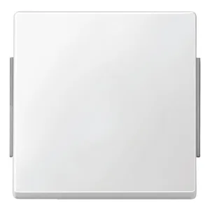Клавиша Schneider Electric MERTEN AQUADESIGN IP44, белый, MTN343119 (ШНАЙДЕР) Клавиша Schneider Electric MERTEN AQUADESIGN IP44, белый, MTN343119 (ШНАЙДЕР)