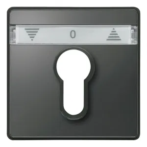 Schneider Electric Merten Aquadesign MTN348214, центральная плата для жалюзи с фиксатором и замком, антрацит (ШНАЙДЕР) Schneider Electric Merten Aquadesign MTN348214, центральная плата для жалюзи с фиксатором и замком, антрацит (ШНАЙДЕР)
