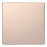Schneider Electric Заглушка MERTEN D-Life MTN4075-6051 (шампань)