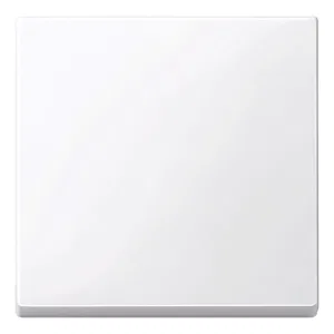 Schneider Electric MTN432125, клавиша одинарная, активно-белая (ШНАЙДЕР) Schneider Electric MTN432125, клавиша одинарная, активно-белая (ШНАЙДЕР)