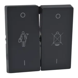 Клавиша двойная Schneider Electric MERTEN SYSTEM M, антрацит (ШНАЙДЕР) Клавиша двойная Schneider Electric MERTEN SYSTEM M, антрацит (ШНАЙДЕР)