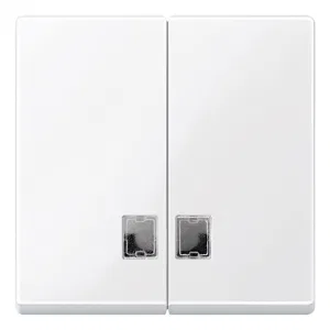 Клавиша двойная Schneider Electric MERTEN SYSTEM M, активно-белый (ШНАЙДЕР) Клавиша двойная Schneider Electric MERTEN SYSTEM M, активно-белый (ШНАЙДЕР)