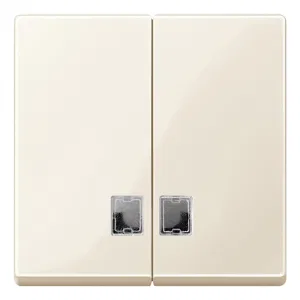 Клавиша двойная Schneider Electric MERTEN SYSTEM M, бежевый блестящий (ШНАЙДЕР) Клавиша двойная Schneider Electric MERTEN SYSTEM M, бежевый блестящий (ШНАЙДЕР)