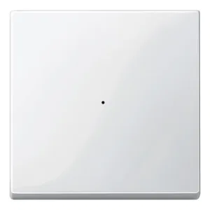 Клавиша Schneider Electric MERTEN SYSTEM M, полярно-белый (ШНАЙДЕР) Клавиша Schneider Electric MERTEN SYSTEM M, полярно-белый (ШНАЙДЕР)