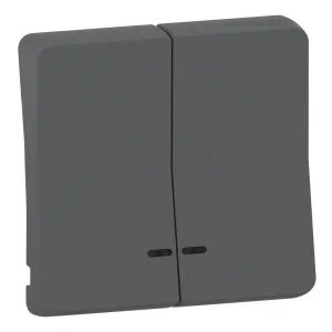 Клавиша двойная Schneider Electric MUREVA STYL, антрацит, MUR34205 (ШНАЙДЕР) Клавиша двойная Schneider Electric MUREVA STYL, антрацит, MUR34205 (ШНАЙДЕР)