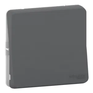 Переключатель 1-клавишный Schneider Electric MUREVA STYL, скрытый монтаж, антрацит, MUR35020 (ШНАЙДЕР) Переключатель 1-клавишный Schneider Electric MUREVA STYL, скрытый монтаж, антрацит, MUR35020 (ШНАЙДЕР)