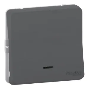Переключатель 1-клавишный Schneider Electric MUREVA STYL, с подсветкой, скрытый монтаж, антрацит, MUR35025 (ШНАЙДЕР) Переключатель 1-клавишный Schneider Electric MUREVA STYL, с подсветкой, скрытый монтаж, антрацит, MUR35025 (ШНАЙДЕР)