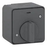 Schneider Electric Mureva Styl MUR35067 выключатель с таймером, механический, антрацит, IP55