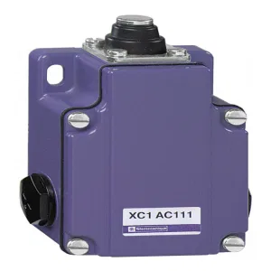 КОНЦЕВОЙ ВЫКЛЮЧАТЕЛЬ XC1AC111 (ШНАЙДЕР) КОНЦЕВОЙ ВЫКЛЮЧАТЕЛЬ XC1AC111 (ШНАЙДЕР)