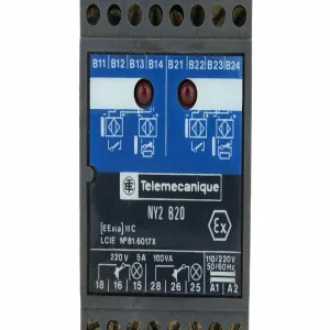 Schneider Electric NY2B20 (ШНАЙДЕР) Schneider Electric NY2B20 (ШНАЙДЕР)
