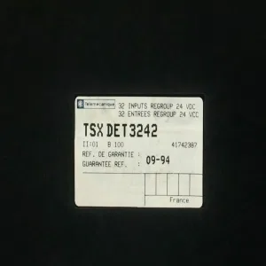 Schneider Electric TSXDET3242 (ШНАЙДЕР) Schneider Electric TSXDET3242 (ШНАЙДЕР)