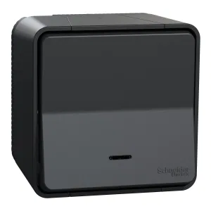 MUR35024 SE MUREVA S, ПЕРЕКЛЮЧАТЕЛЬ с подсветкой, открытой установки, АНТРАЦИТ, IP55 (ШНАЙДЕР) MUR35024 SE MUREVA S, ПЕРЕКЛЮЧАТЕЛЬ с подсветкой, открытой установки, АНТРАЦИТ, IP55 (ШНАЙДЕР)
