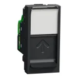 Schneider Electric NU341054 розетка компьютерная RJ45, 1 модуль, антрацит